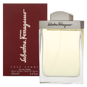 Salvatore Ferragamo Pour Homme Eau de Toilette for men 100 ml