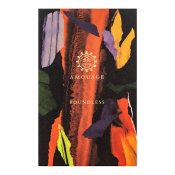 Amouage Boundless parfémovaná voda pro muže 100 ml