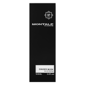 Montale Ginger Musk Парфюмна вода унисекс 100 ml