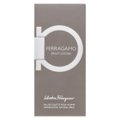 Salvatore Ferragamo Ferragamo Bright Leather Eau de Toilette da uomo 100 ml