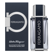 Salvatore Ferragamo Ferragamo toaletná voda pre mužov 50 ml