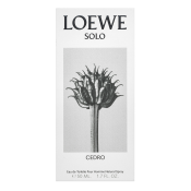 Loewe Solo Cedro woda toaletowa dla mężczyzn 50 ml