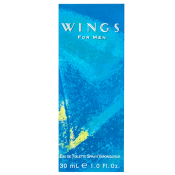 Giorgio Beverly Hills Wings for Men тоалетна вода за мъже 30 ml
