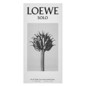 Loewe Solo Loewe Pour Homme Eau de Toilette voor mannen 100 ml
