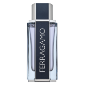 Salvatore Ferragamo Ferragamo Eau de Toilette voor mannen 100 ml