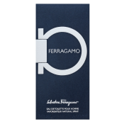 Salvatore Ferragamo Ferragamo Eau de Toilette voor mannen 100 ml