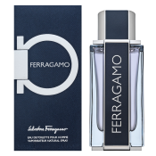 Salvatore Ferragamo Ferragamo Eau de Toilette voor mannen 100 ml