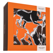Hermès Terre D'Hermes zestaw upominkowy dla mężczyzn Set II. 50 ml