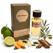 Salvatore Ferragamo Punta Ala Парфюмна вода унисекс 100 ml
