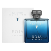 Roja Parfums Elysium Eau Intense parfumirana voda za moške 100 ml