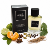 David Beckham Instinct parfumirana voda za moške 50 ml