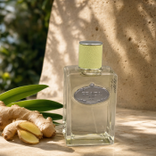 Prada Infusion De Gingembre parfémovaná voda unisex 100 ml