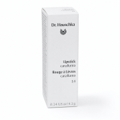 Dr. Hauschka Lipstick rúzs 14 Caralluma 4,1 g