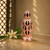 Hamidi Amani Geparfumeerde olie unisex 20 ml