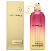 Montale Aoud Legend Eau de Parfum unisex Extra Offer 3 100 ml