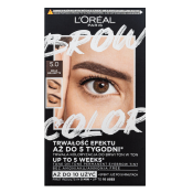 L´Oréal Paris Brow Color Semi-Permanent Eyebrow Tint semi-permanente kleuring voor Wenkbrauwen 5.0 Brunette