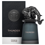 French Avenue Thunder Eau de Parfum bărbați 100 ml