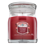 Yankee Candle Santa On Skis 368 g