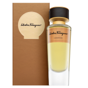 Salvatore Ferragamo Tuscan Creations Convivio Eau de Parfum unisex Extra Offer 4 100 ml