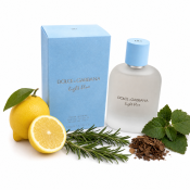Dolce & Gabbana Light Blue Pour Homme Eau de Toilette férfiaknak 100 ml