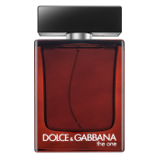 Dolce & Gabbana The One for Men čistý parfém pro muže 100 ml