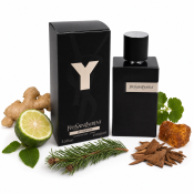 Yves Saint Laurent Y Le Parfum 2025 čisti parfum za moške 100 ml