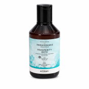 Artègo Rain Dance Renaissance Prosperity Bath подхранващ шампоан за слаба и увредена коса 300 ml