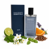 Davidoff Essentials Blue toaletná voda pre mužov 110 ml