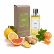 Angel Schlesser Les Eaux D'Un Instant Ginger Cologne Eau de Toilette unisex 100 ml