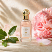 Guerlain Aqua Allegoria Rosa Rossa Eau de Toilette für Damen 40 ml