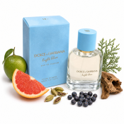 Dolce & Gabbana Light Blue parfumirana voda za moške 50 ml