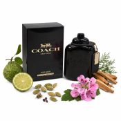 Coach Coach for Men Eau de Parfum voor mannen 100 ml