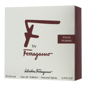 Salvatore Ferragamo F by Ferragamo Pour Homme Eau de Toilette para hombre Extra Offer 4 100 ml