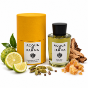 Acqua di Parma Colonia Intensa Eau de Cologne voor mannen 180 ml