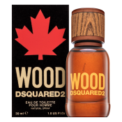 Dsquared2 Wood woda toaletowa dla mężczyzn Extra Offer 4 30 ml