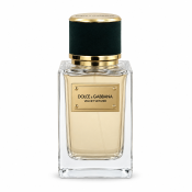 Dolce & Gabbana Velvet Vetiver parfumirana voda unisex 100 ml