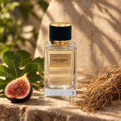 Dolce & Gabbana Velvet Vetiver parfumirana voda unisex 100 ml