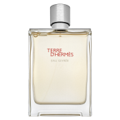 Hermès Terre d’Hermès Eau Givrée - Refillable Eau de Parfum voor mannen 175 ml