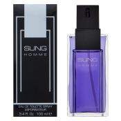 Alfred Sung Sung Homme toaletna voda za muškarce 100 ml