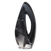 DKNY Donna Karan Woman Eau de Parfum voor vrouwen 50 ml