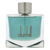 Dunhill Black Eau de Toilette voor mannen 100 ml