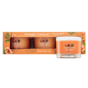 Yankee Candle Tropical Breeze Votivkerze 3 x 37 g