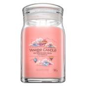 Yankee Candle Watercolour Skies 567 g