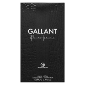 Grandeur Gallant parfemska voda za muškarce 100 ml