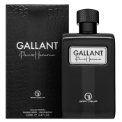 Grandeur Gallant parfemska voda za muškarce 100 ml