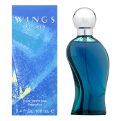 Giorgio Beverly Hills Wings for Men toaletní voda pro muže 100 ml