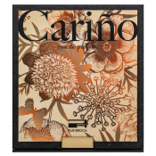 Rue Broca Carino parfémovaná voda pre mužov 100 ml