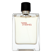 Hermès Terre D'Hermes woda toaletowa dla mężczyzn 100 ml