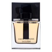 Dior (Christian Dior) Dior Homme Intense 2011 Eau de Parfum for men 50 ml