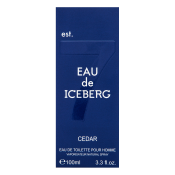 Iceberg Eau de Iceberg Cedar toaletní voda pro muže 100 ml